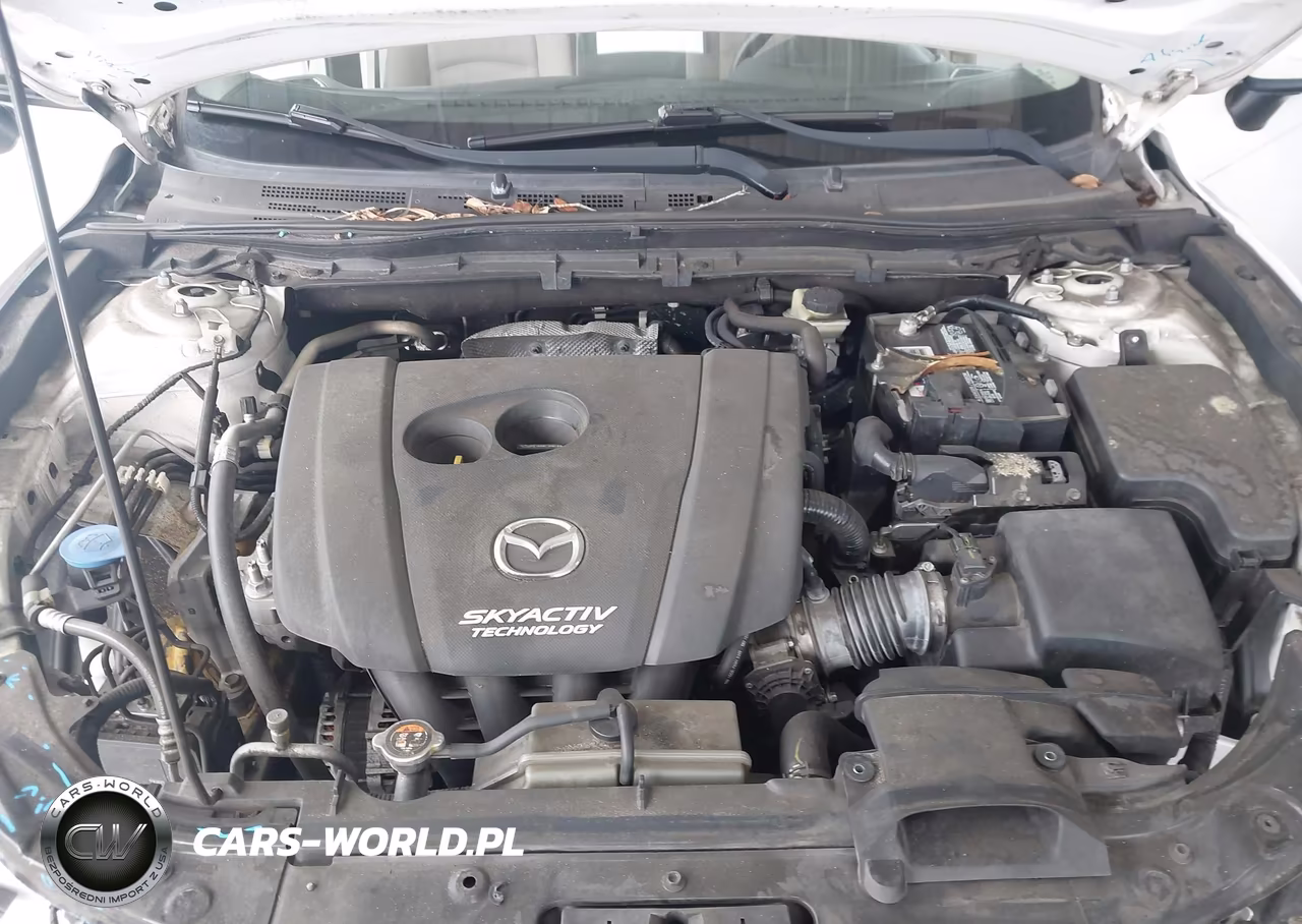 2016 Mazda Mazda3 I Sport VIN:3MZBM1T76GM244204 - 10