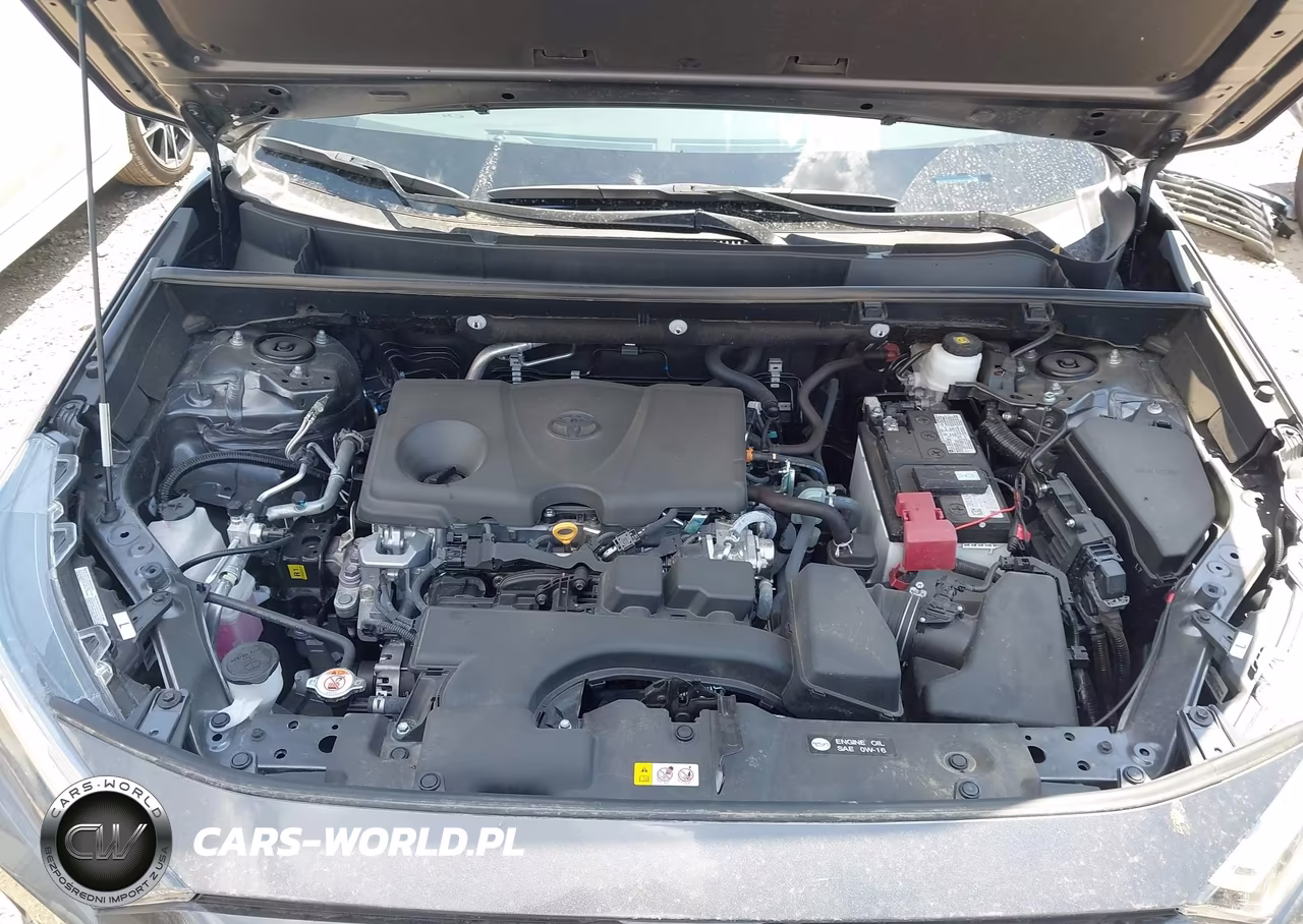 2025 Toyota Rav4 Xle VIN:2T3W1RFV7SC357223 - 10