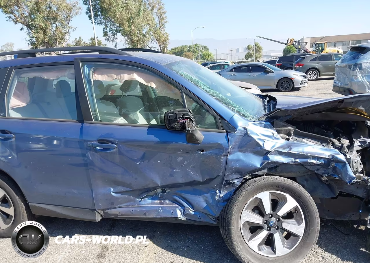 2017 Subaru Forester 2.5I VIN:JF2SJABC7HH581109 - 12