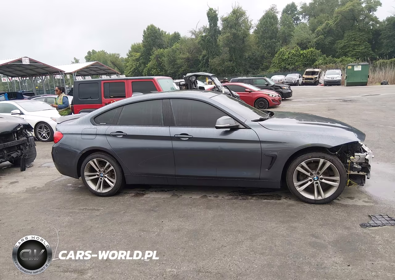 2017 BMW 430I Gran Coupe xDrive VIN:WBA4F9C33HG812130 - 13