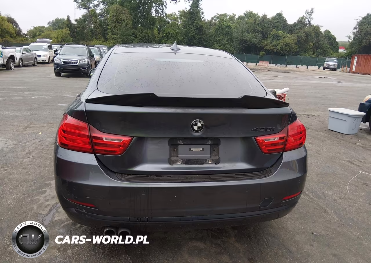 2017 BMW 430I Gran Coupe xDrive VIN:WBA4F9C33HG812130 - 16