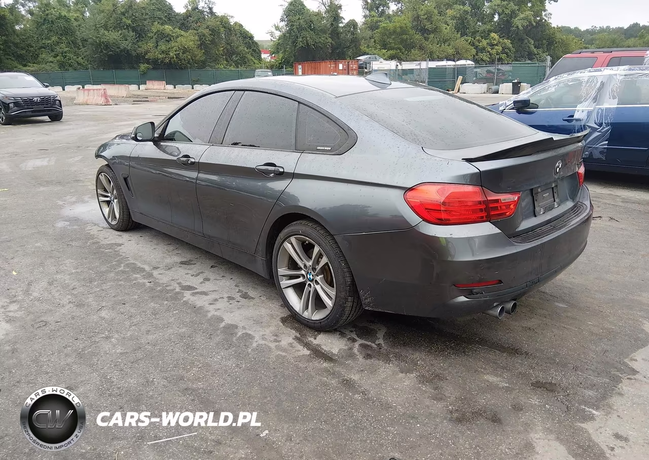 2017 BMW 430I Gran Coupe xDrive VIN:WBA4F9C33HG812130 - 3