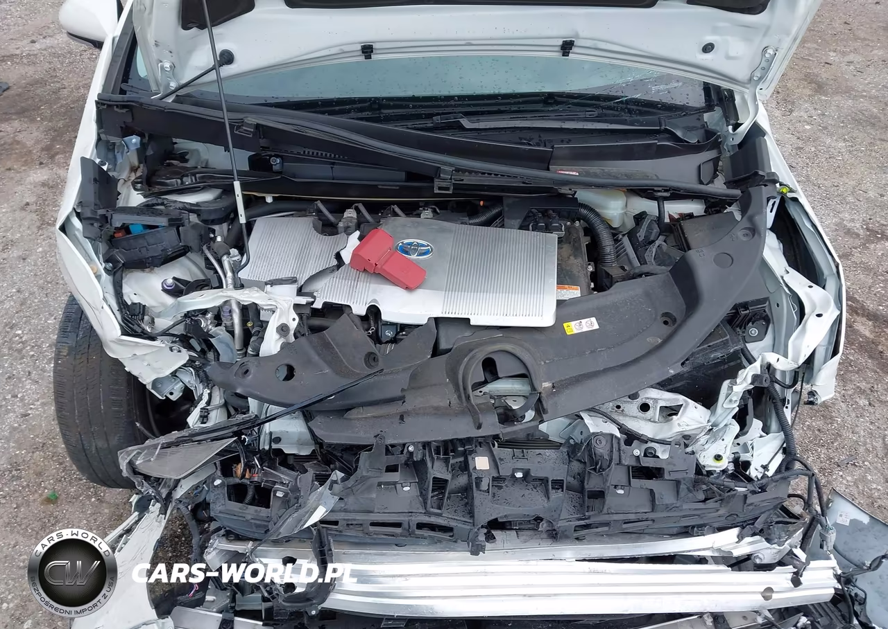 2019 Toyota Prius Le VIN:JTDKARFU3K3099225 - 10