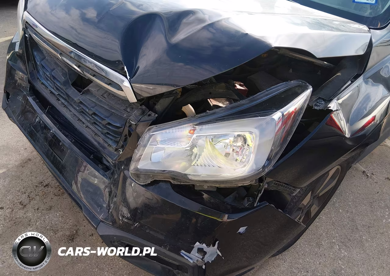 2018 Subaru Forester 2.5I VIN:JF2SJABC0JH443739 - 17