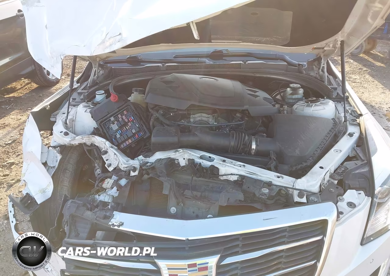 2019 Cadillac Ats Premium Luxury VIN:1G6AG1RS5K0101423 - 10