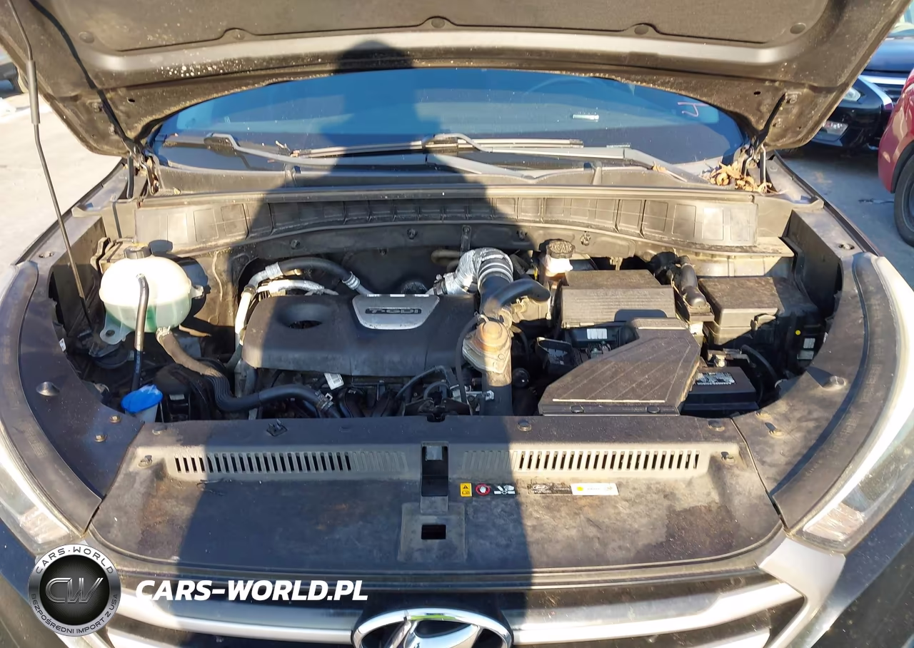 2017 Hyundai Tucson Value VIN:KM8J33A29HU559544 - 10