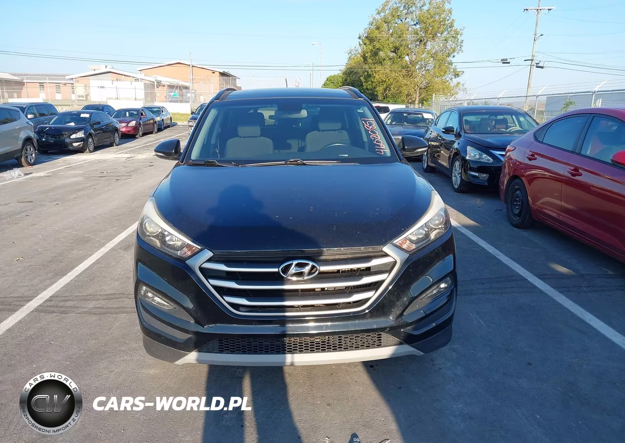 2017 Hyundai Tucson Value VIN:KM8J33A29HU559544 - 12