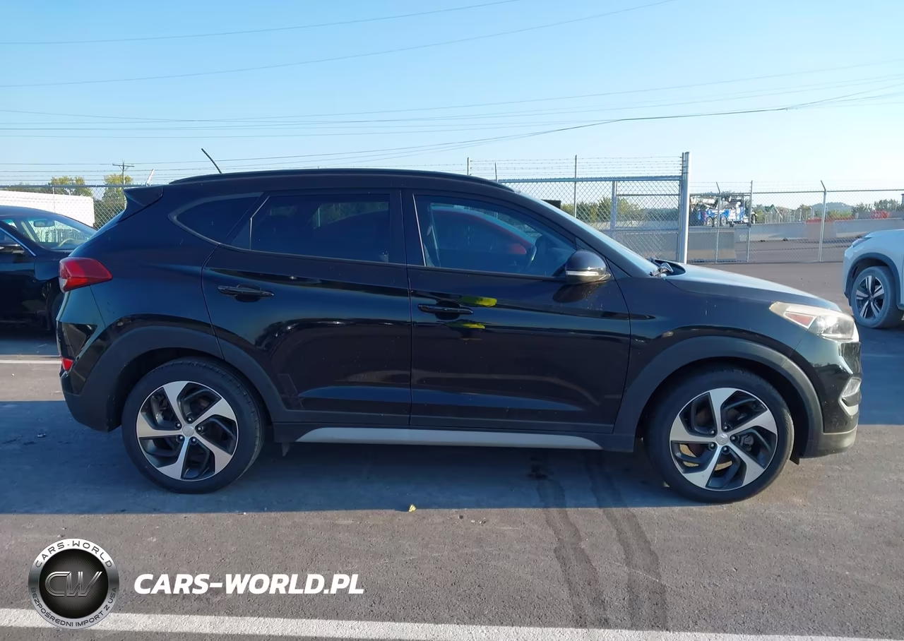 2017 Hyundai Tucson Value VIN:KM8J33A29HU559544 - 13