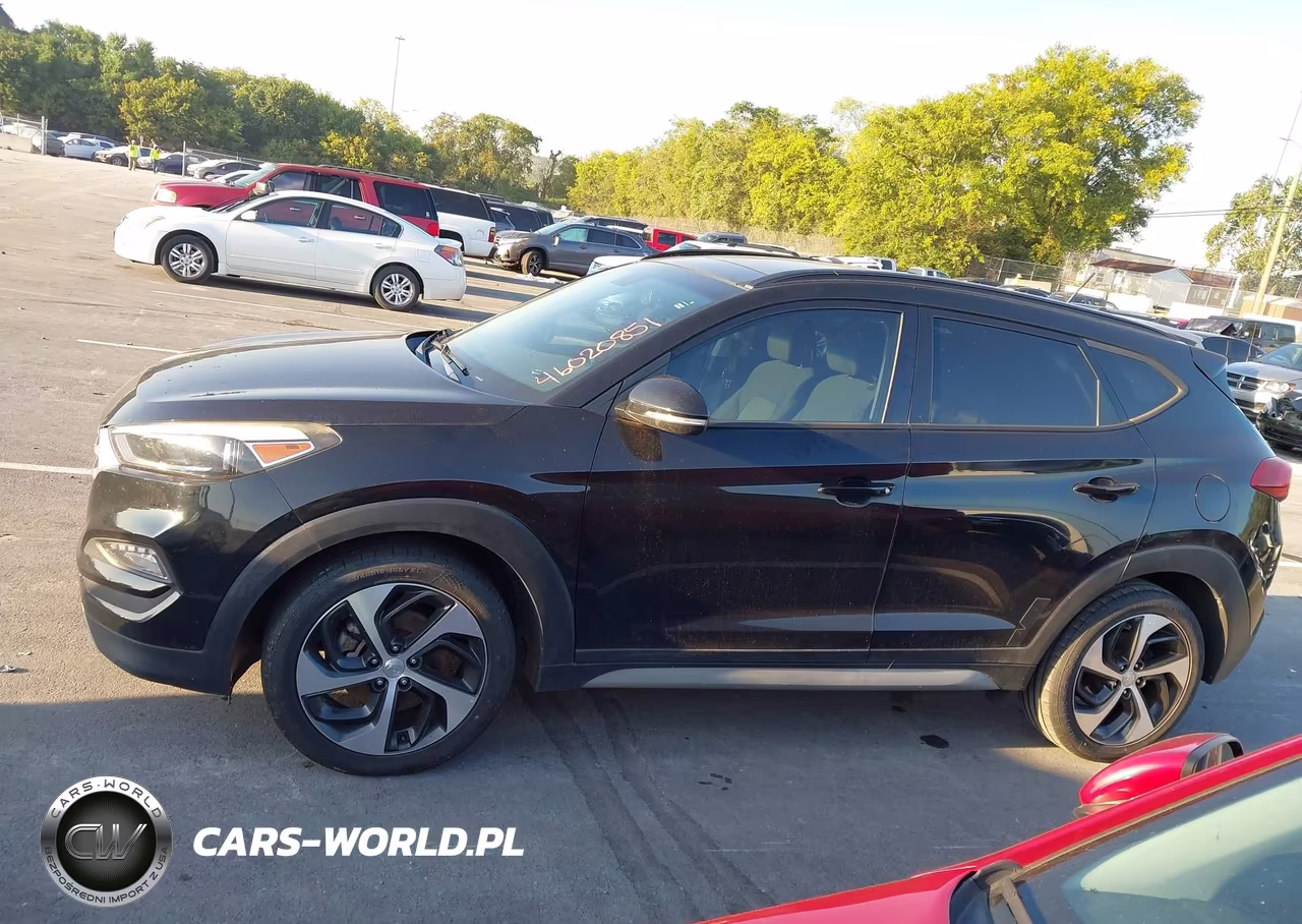 2017 Hyundai Tucson Value VIN:KM8J33A29HU559544 - 14