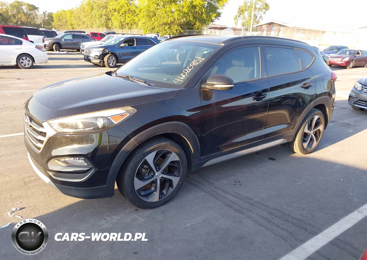 2017 Hyundai Tucson Value VIN:KM8J33A29HU559544 - 2