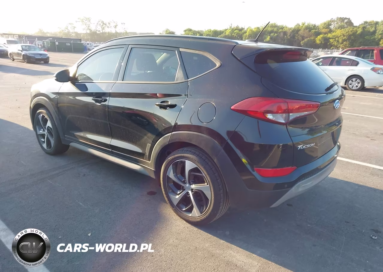 2017 Hyundai Tucson Value VIN:KM8J33A29HU559544 - 3