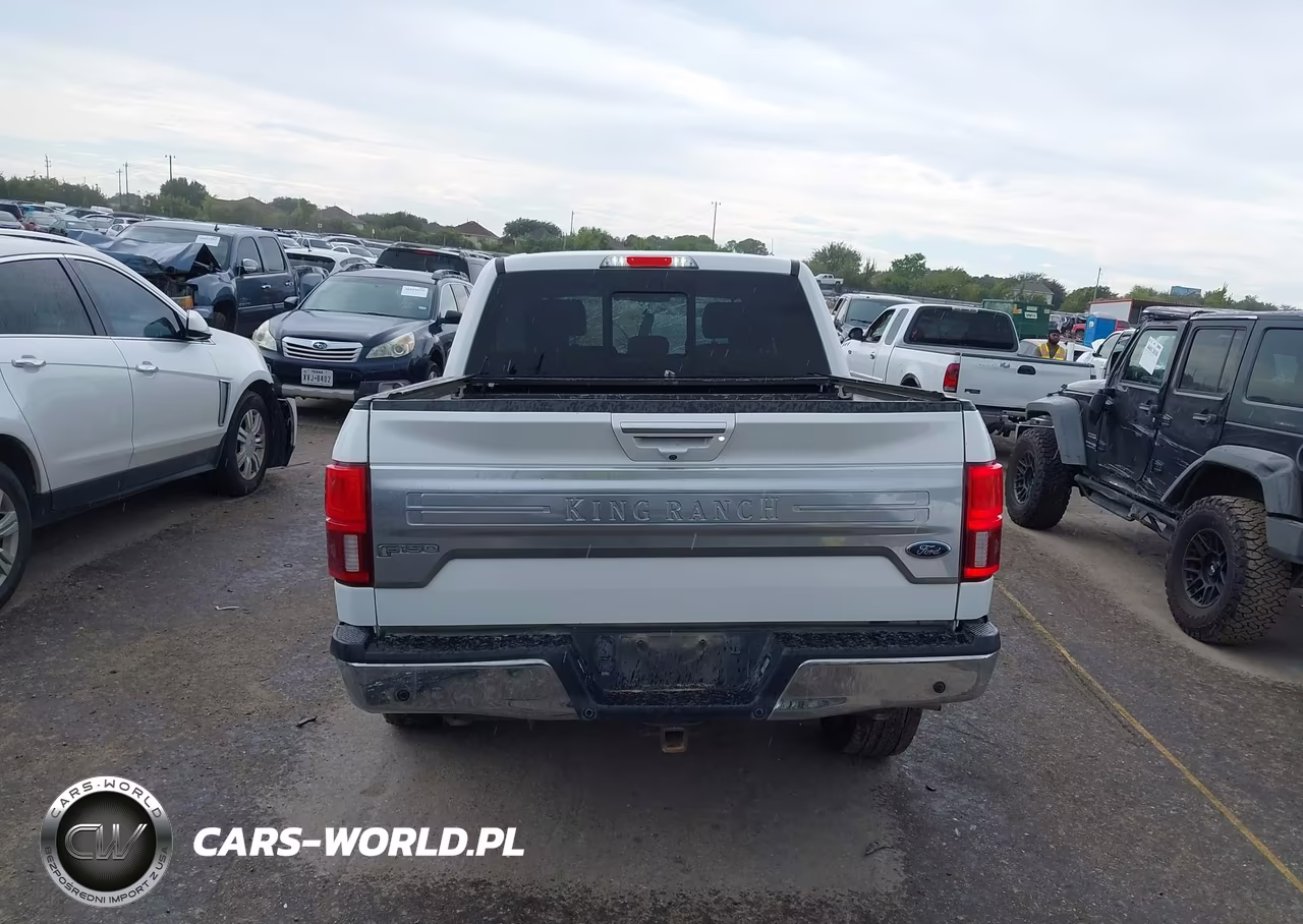 2020 Ford F-150 King Ranch VIN:1FTEW1E57LFB28087 - 16