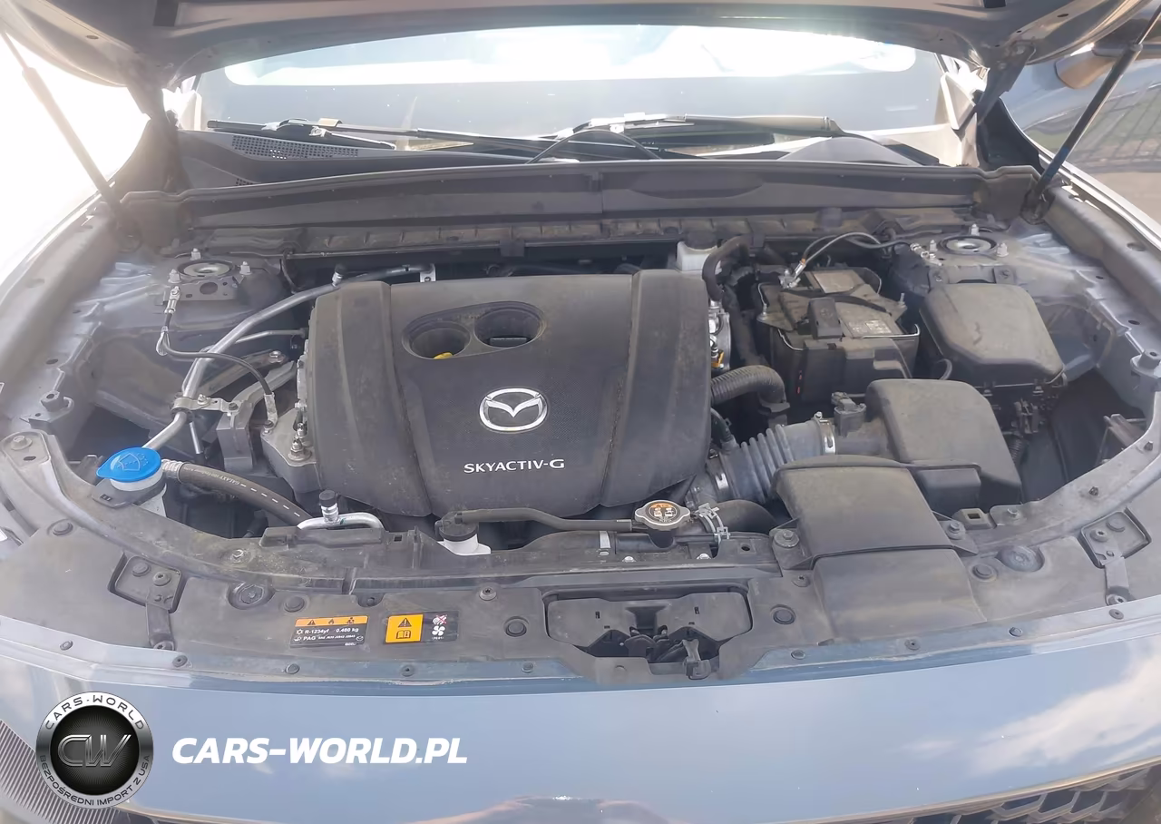 2023 Mazda Cx-50 2.5 S Premium Plus VIN:7MMVABEM7PN113757 - 10