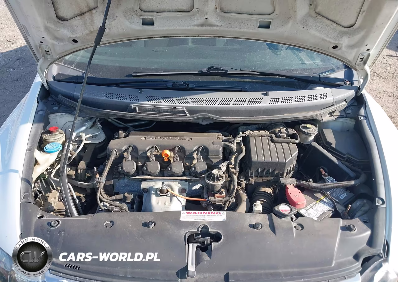 2010 Honda Civic Lx-S VIN:19XFA1F69AE003190 - 10