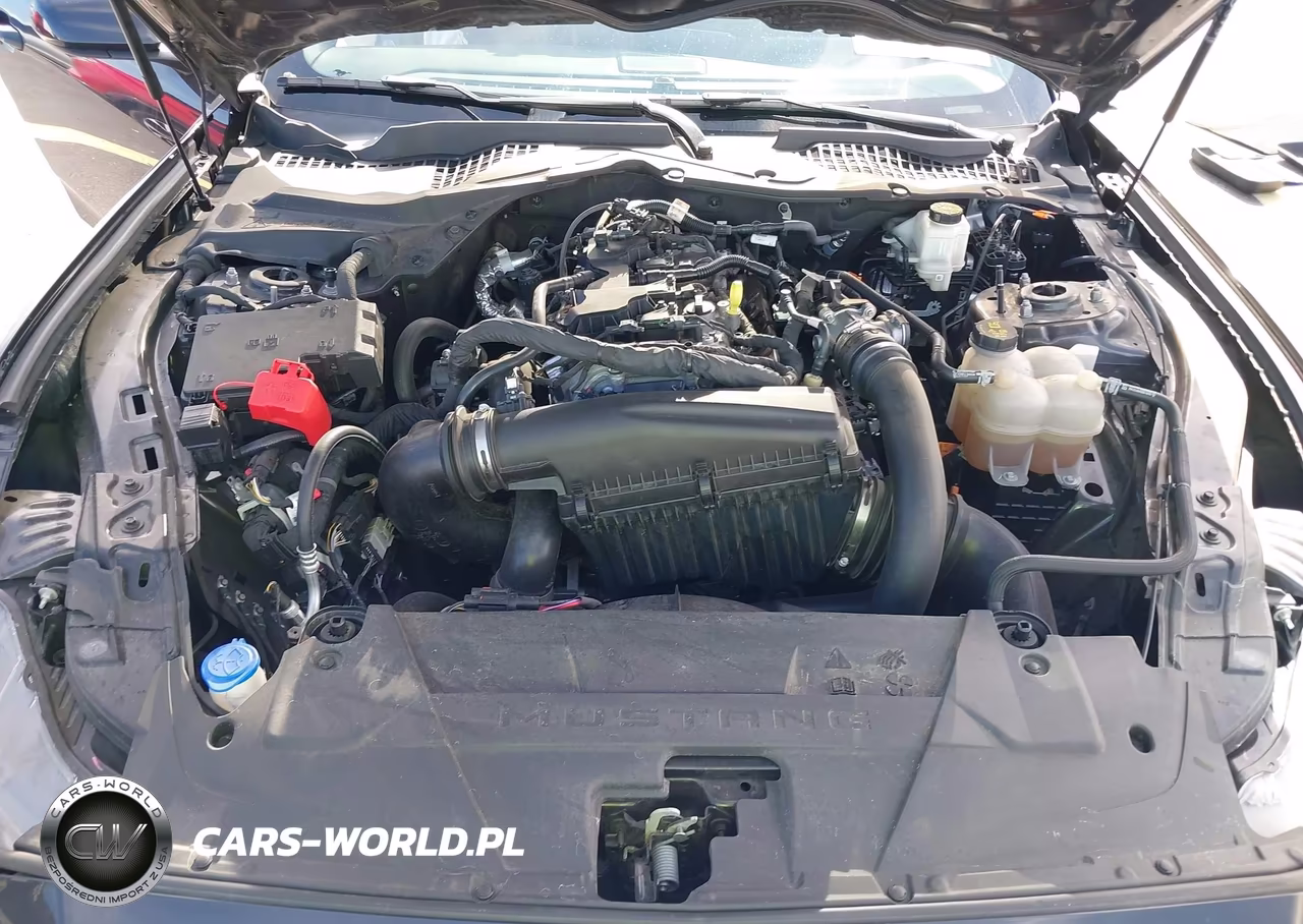2024 Ford Mustang Ecoboost Fastback VIN:1FA6P8TH7R5109535 - 10