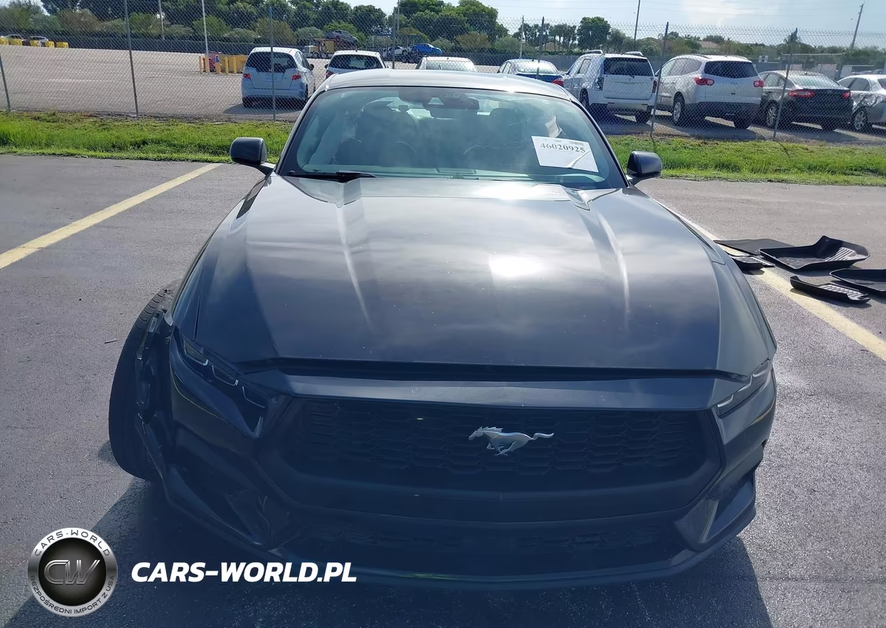 2024 Ford Mustang Ecoboost Fastback VIN:1FA6P8TH7R5109535 - 12