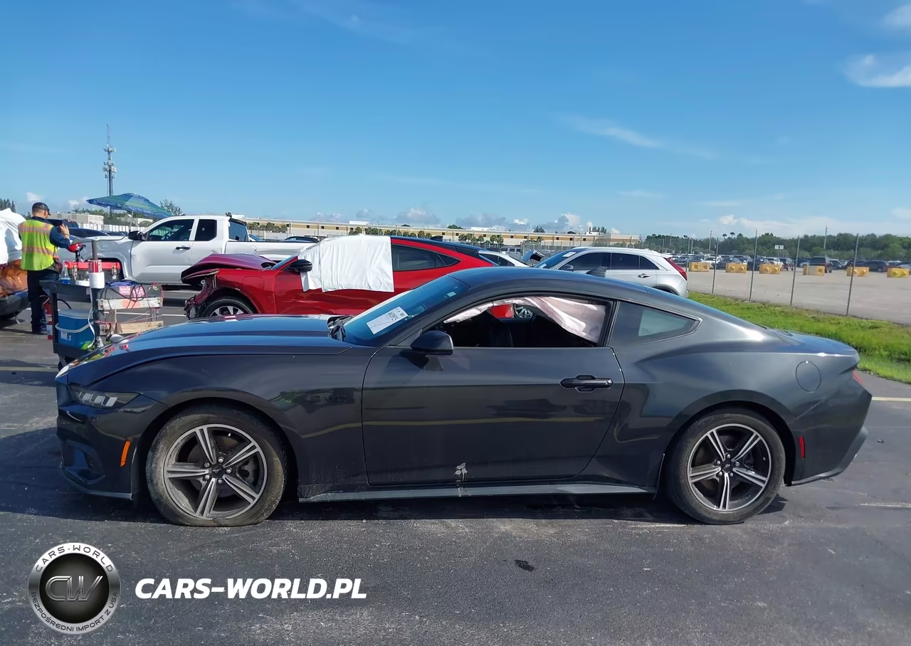 2024 Ford Mustang Ecoboost Fastback VIN:1FA6P8TH7R5109535 - 14