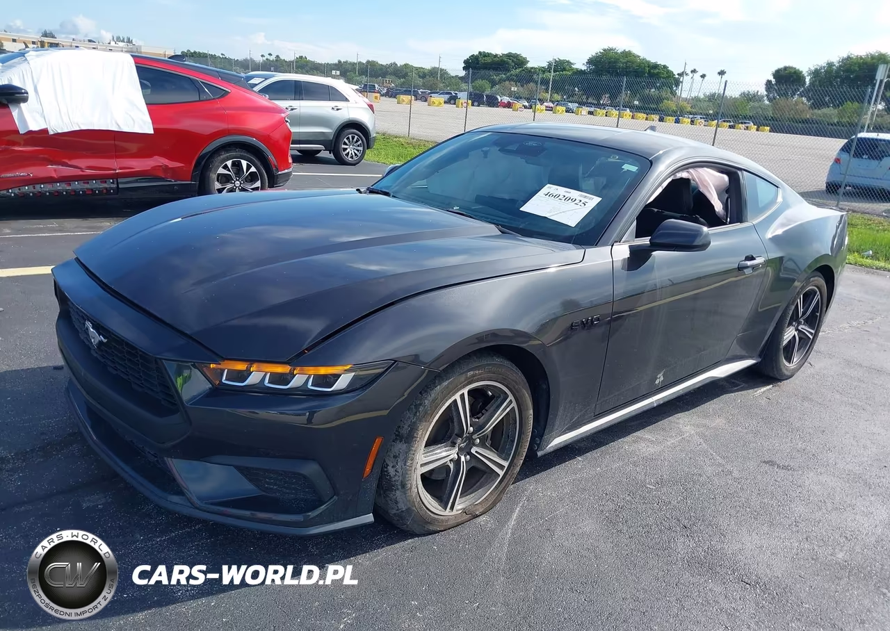 2024 Ford Mustang Ecoboost Fastback VIN:1FA6P8TH7R5109535 - 2