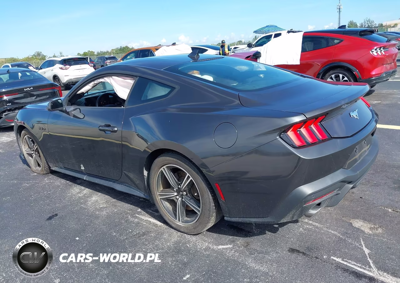 2024 Ford Mustang Ecoboost Fastback VIN:1FA6P8TH7R5109535 - 3