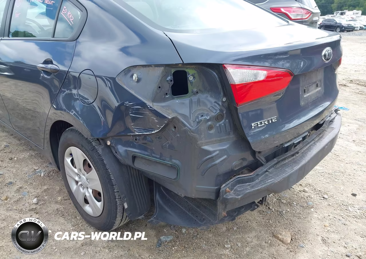 2015 Kia Forte Lx VIN:KNAFX4A62F5332885 - 13