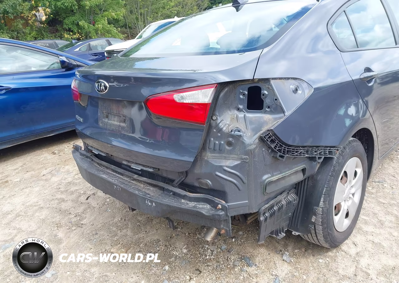 2015 Kia Forte Lx VIN:KNAFX4A62F5332885 - 6