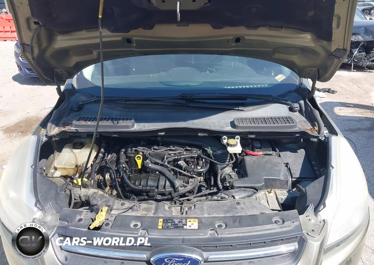 2014 Ford Escape Se VIN:1FMCU0GX5EUA44513 - 10