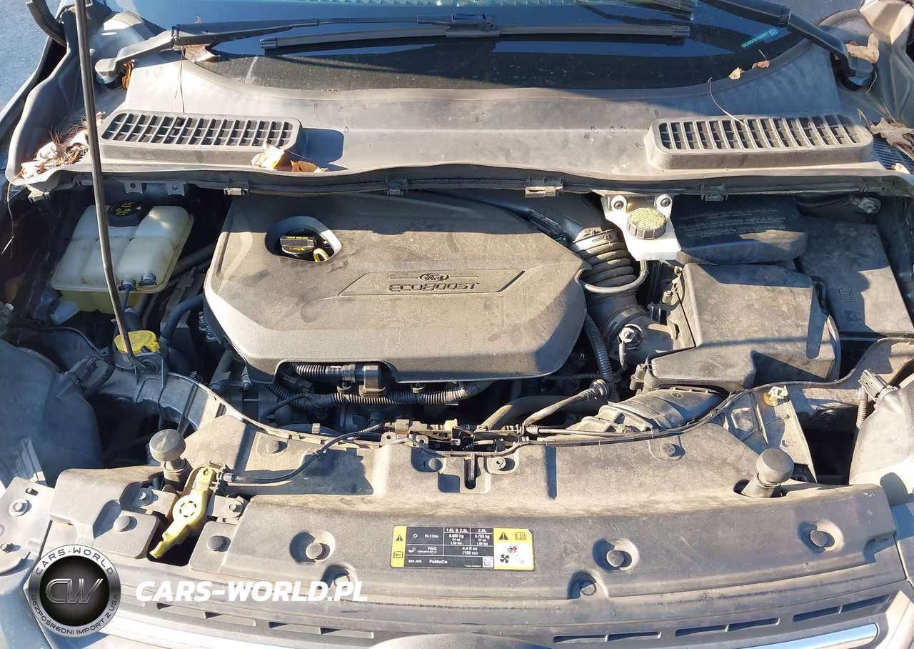 2015 Ford Escape Se VIN:1FMCU0GX9FUA48601 - 10