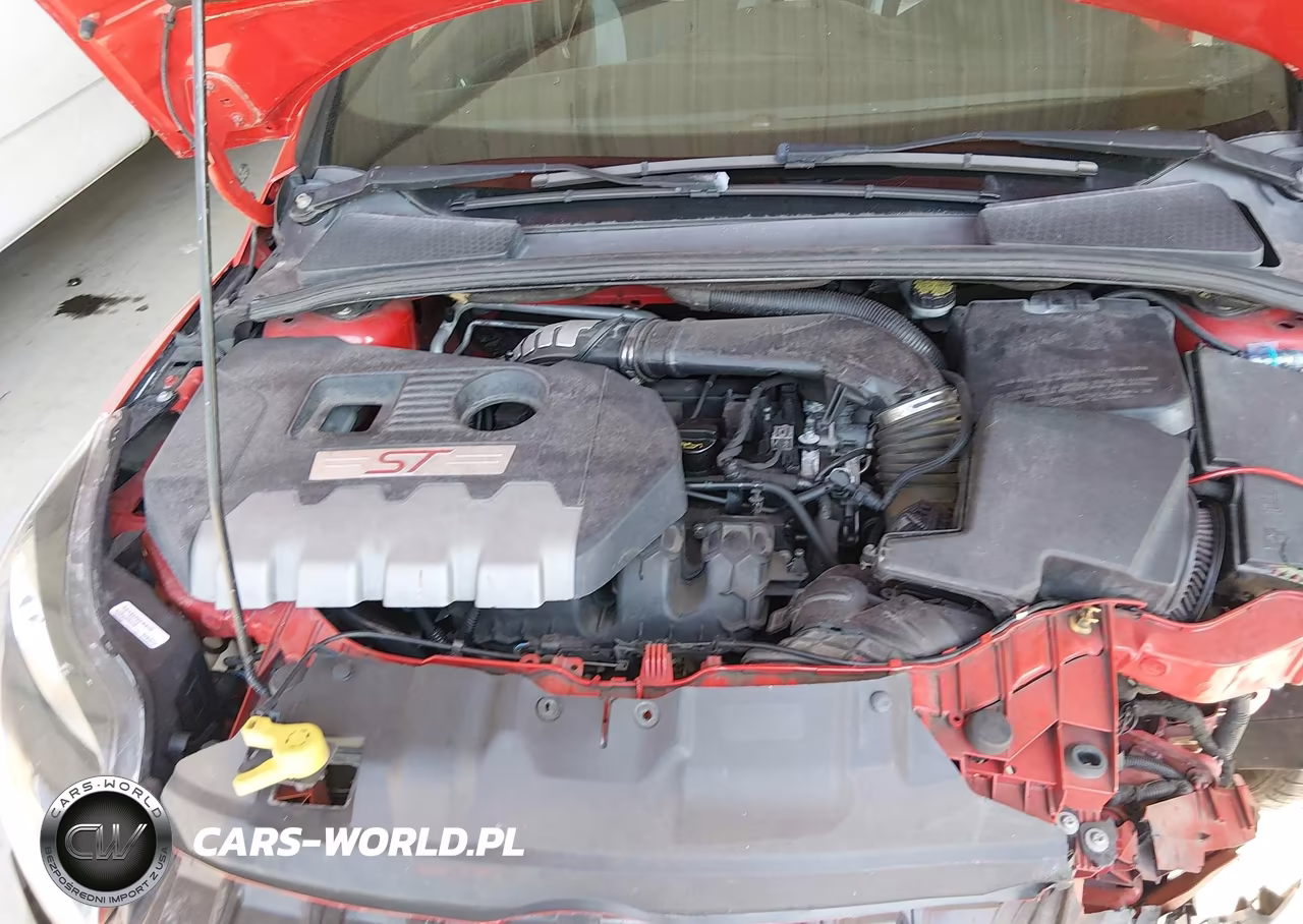 2014 Ford Focus St VIN:1FADP3L96EL436596 - 10