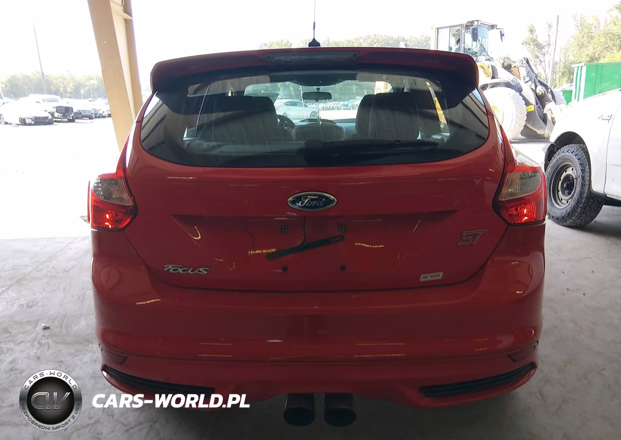 2014 Ford Focus St VIN:1FADP3L96EL436596 - 17