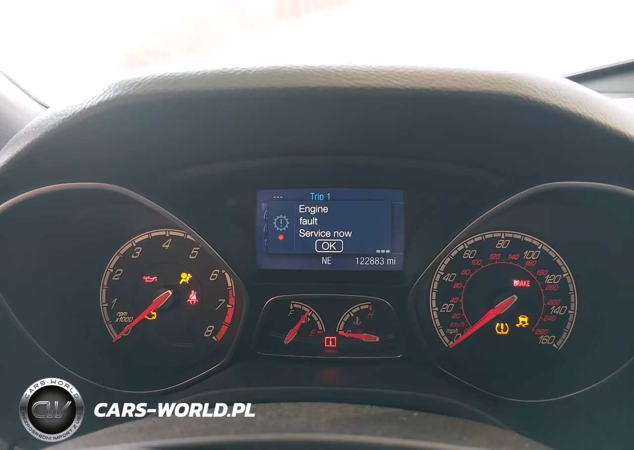 2014 Ford Focus St VIN:1FADP3L96EL436596 - 7
