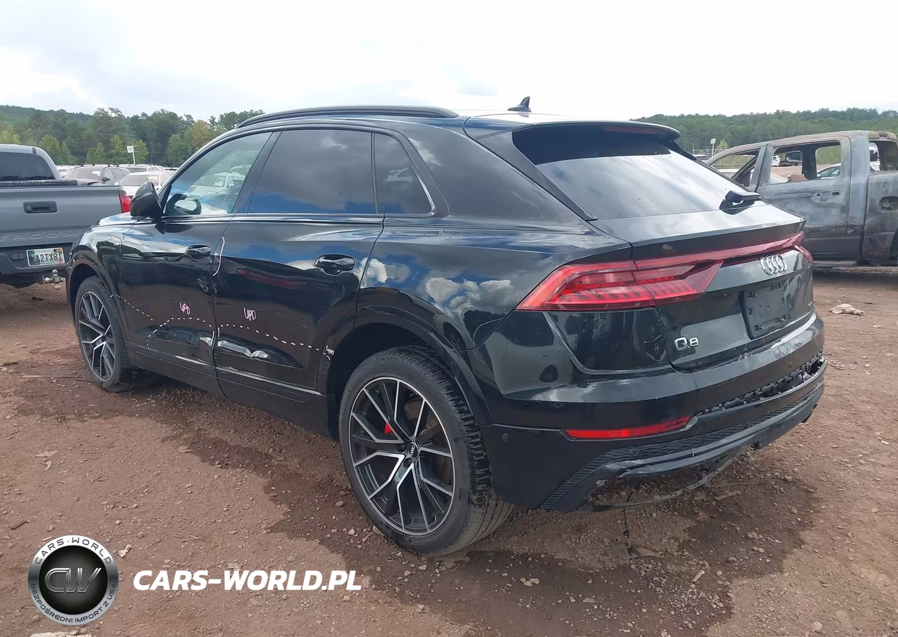 2019 Audi Q8 55 Premium VIN:WA1FVAF19KD031643 - 3