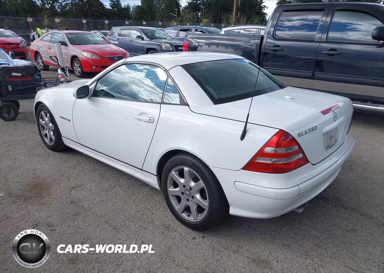 2001 Mercedes-Benz Slk 230 Kompressor VIN:WDBKK49F11F221668 - 3