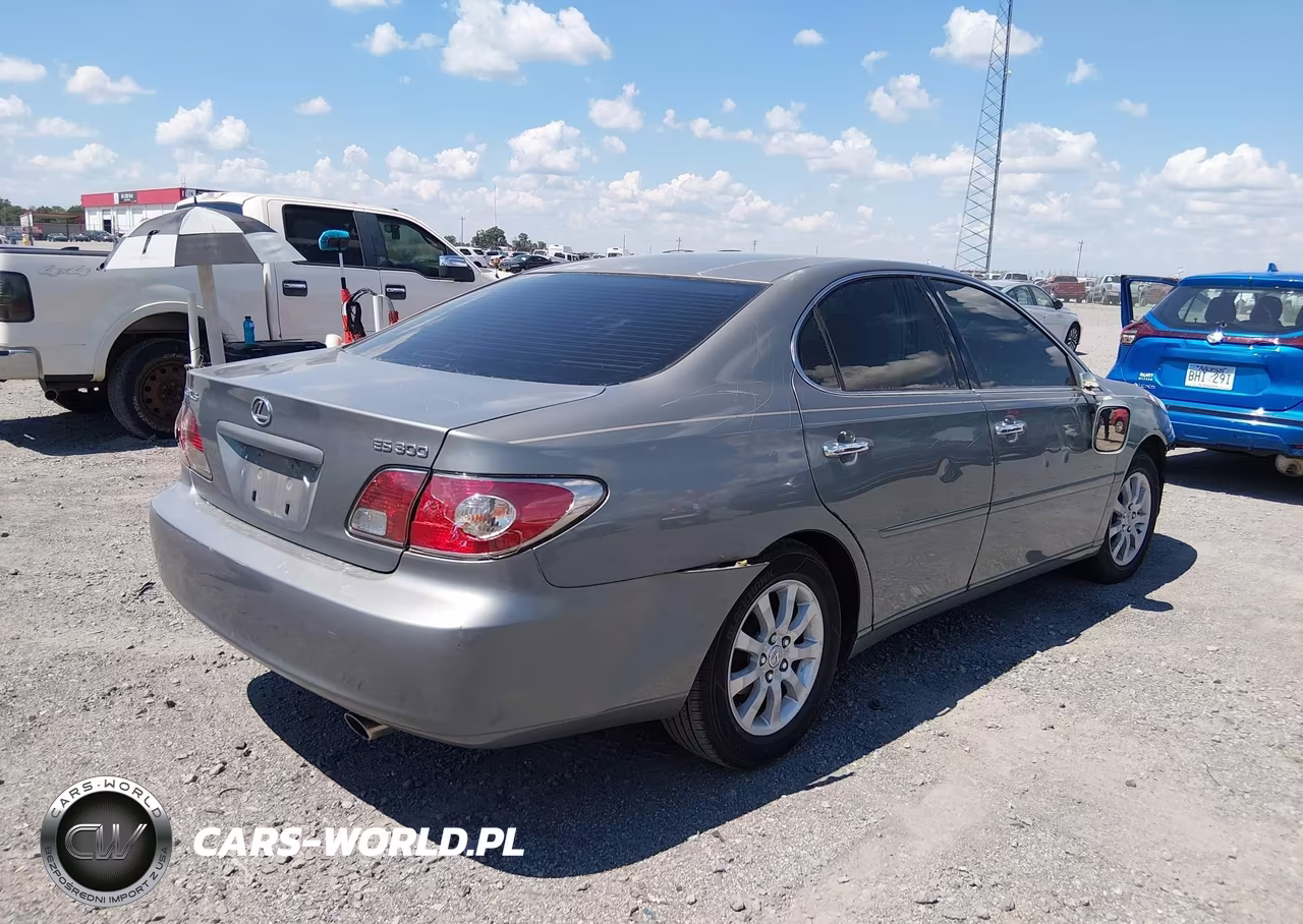 2003 Lexus Es 300 VIN:JTHBF30G830094945 - 4