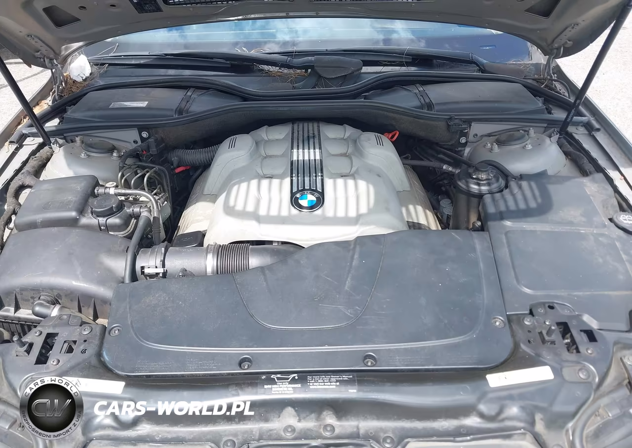 2002 BMW 745I VIN:WBAGL63442DP55300 - 10