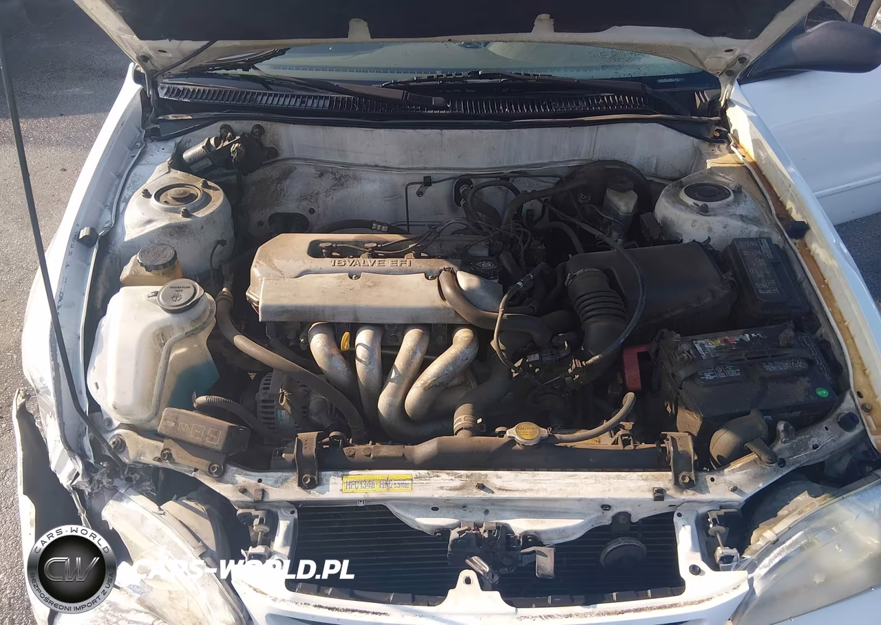 1999 Toyota Corolla Ve VIN:1NXBR12E7XZ204385 - 10