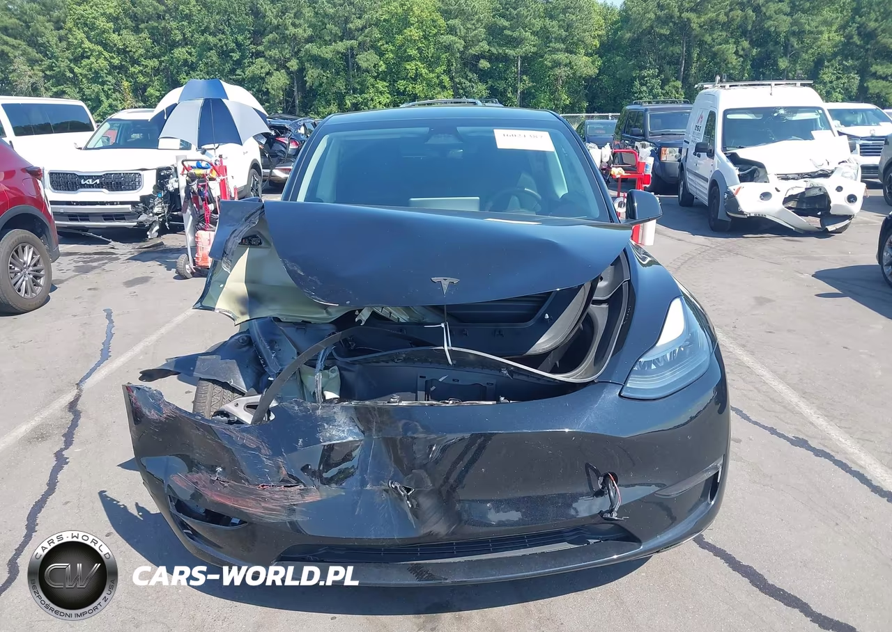2024 Tesla Model Y Long Range Dual Motor All-Wheel Drive VIN:7SAYGAEE4RF169352 - 13