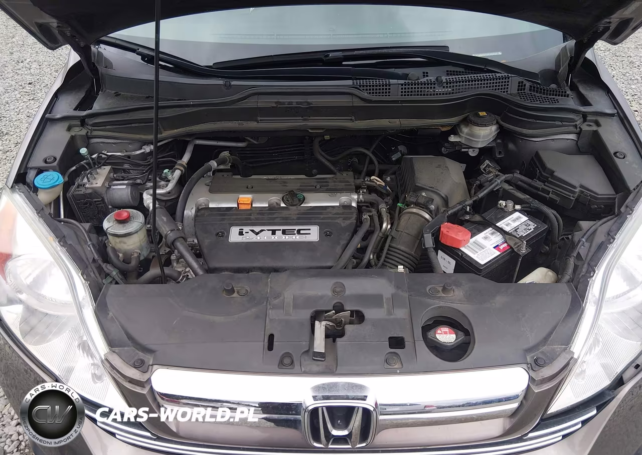 2009 Honda Cr-V Ex VIN:5J6RE485X9L045470 - 10