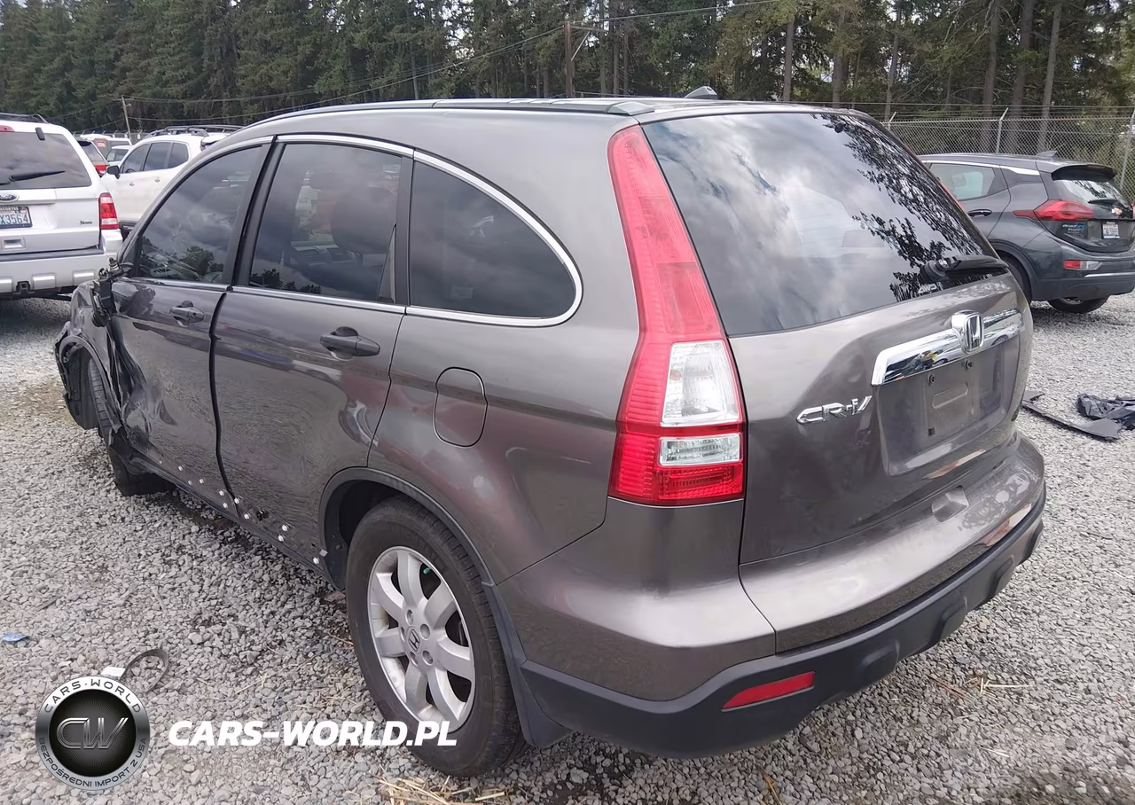 2009 Honda Cr-V Ex VIN:5J6RE485X9L045470 - 3