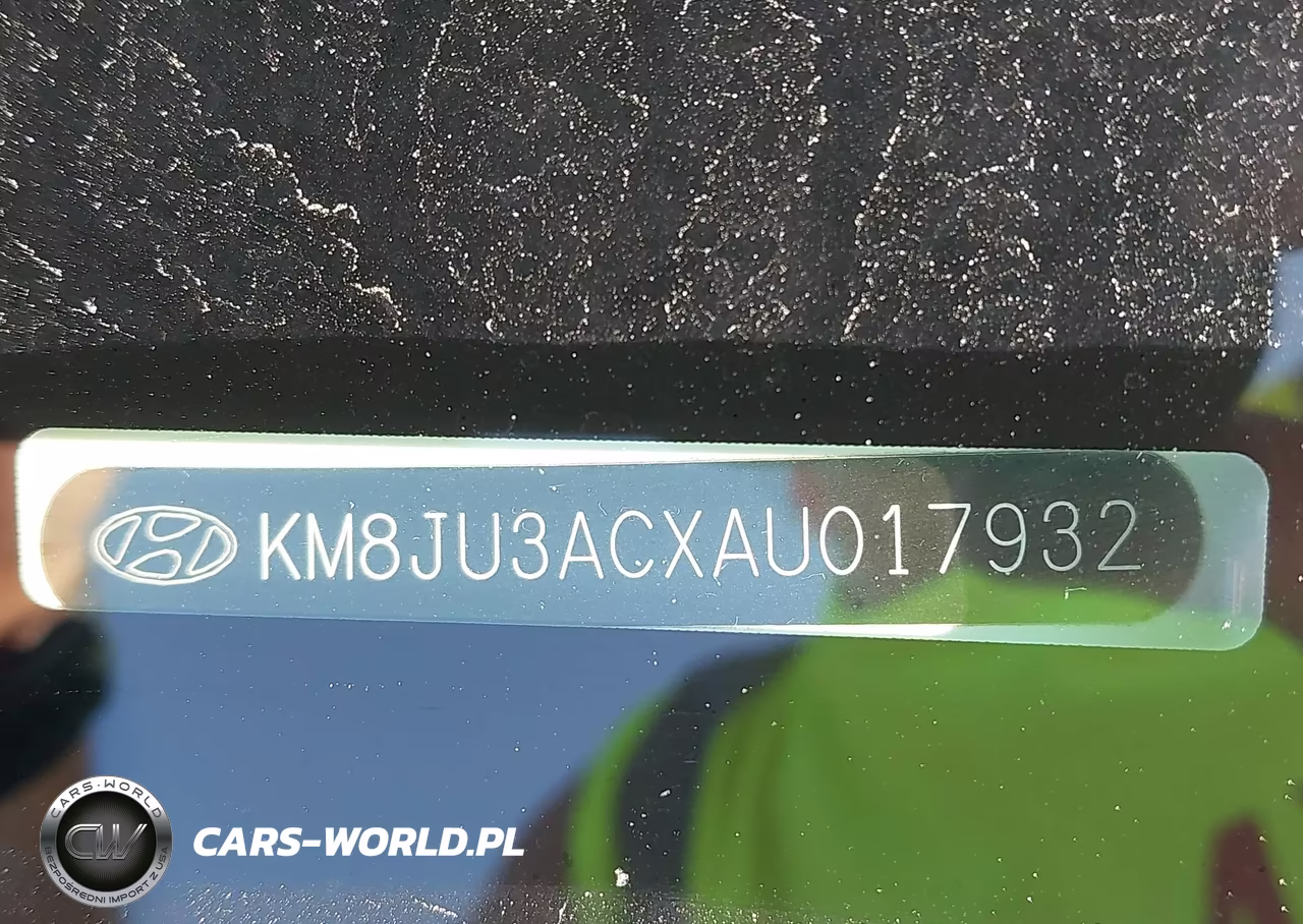 2010 Hyundai Tucson Gls-Limited VIN:KM8JU3ACXAU017932 - 9
