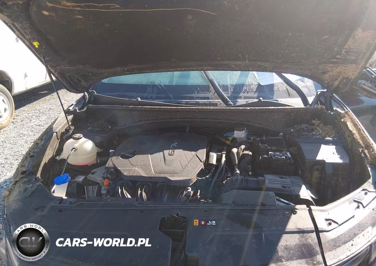 2023 Hyundai Tucson Sel VIN:5NMJBCAE0PH174140 - 10