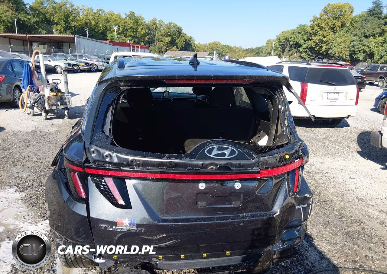 2023 Hyundai Tucson Sel VIN:5NMJBCAE0PH174140 - 6