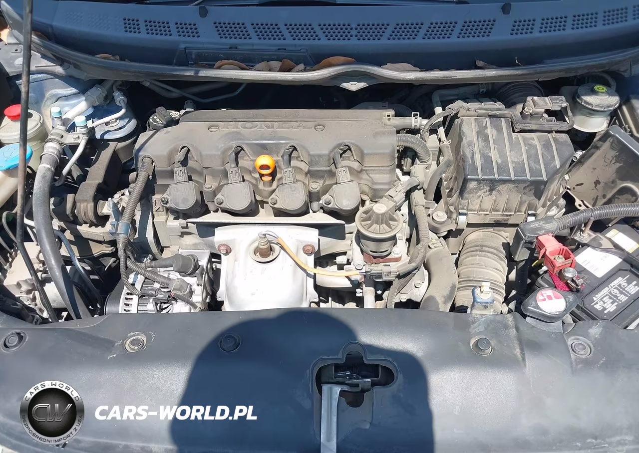 2010 Honda Civic Ex-L VIN:19XFA1F98AE006043 - 10
