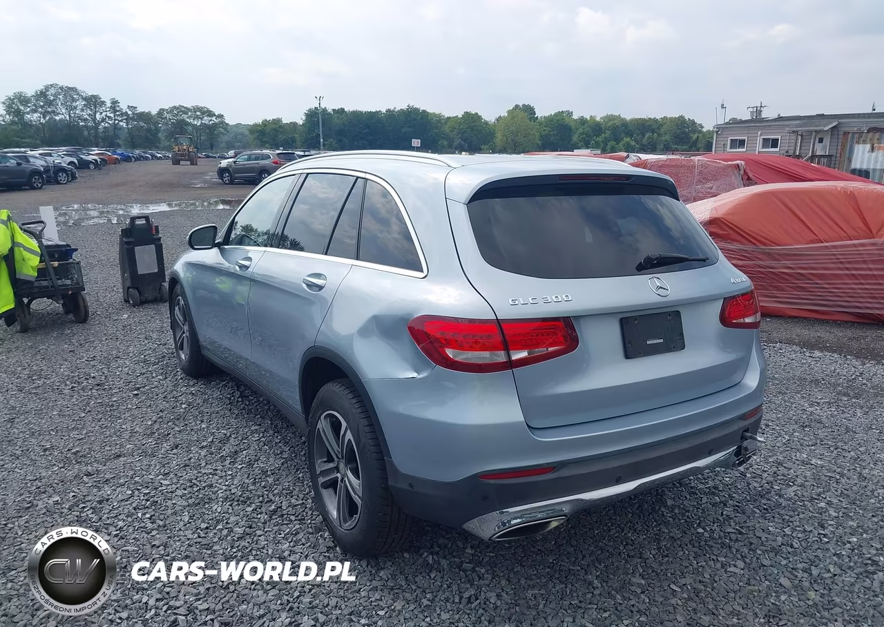 2016 Mercedes-Benz Glc 300 4Matic VIN:WDC0G4KB1GF056080 - 17