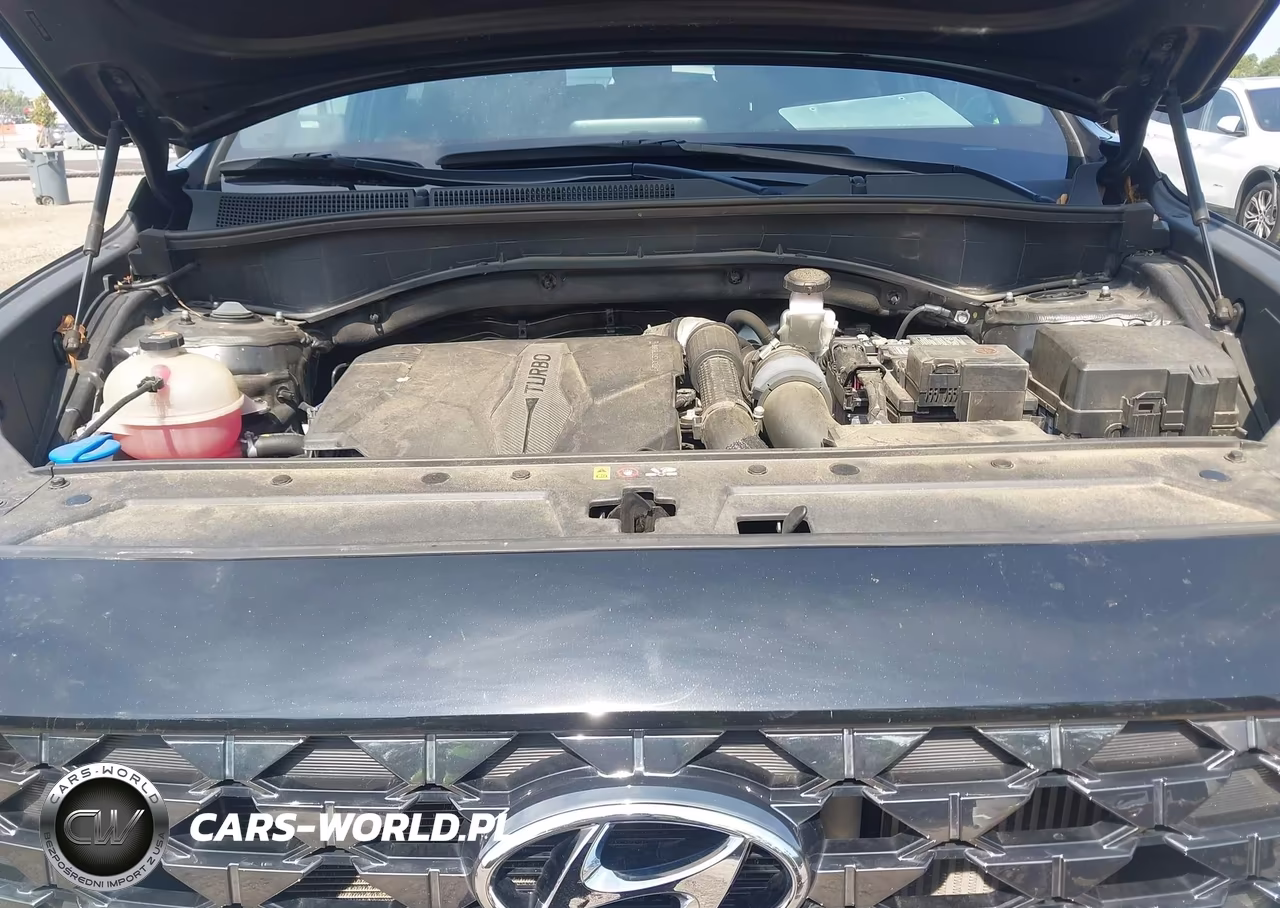 2023 Hyundai Santa Fe Calligraphy VIN:5NMS5DAL5PH599482 - 10