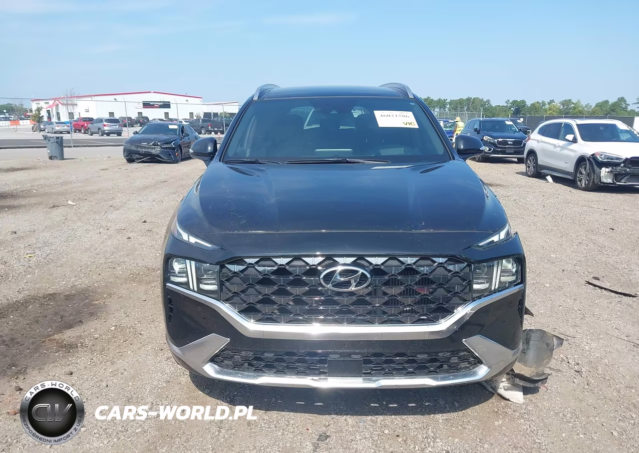 2023 Hyundai Santa Fe Calligraphy VIN:5NMS5DAL5PH599482 - 13