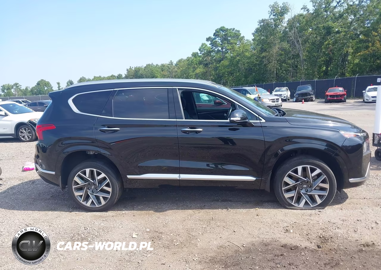 2023 Hyundai Santa Fe Calligraphy VIN:5NMS5DAL5PH599482 - 14
