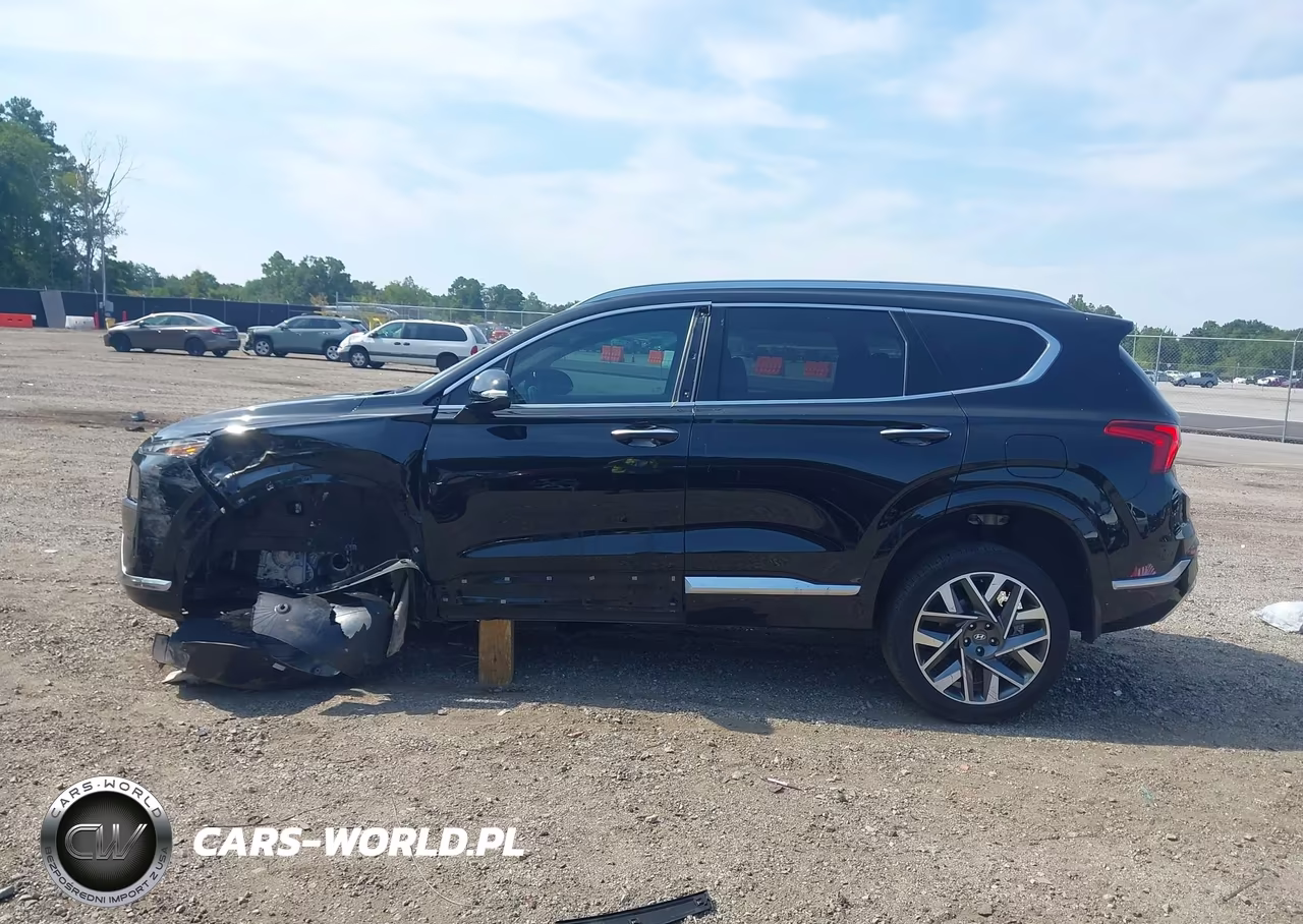 2023 Hyundai Santa Fe Calligraphy VIN:5NMS5DAL5PH599482 - 15