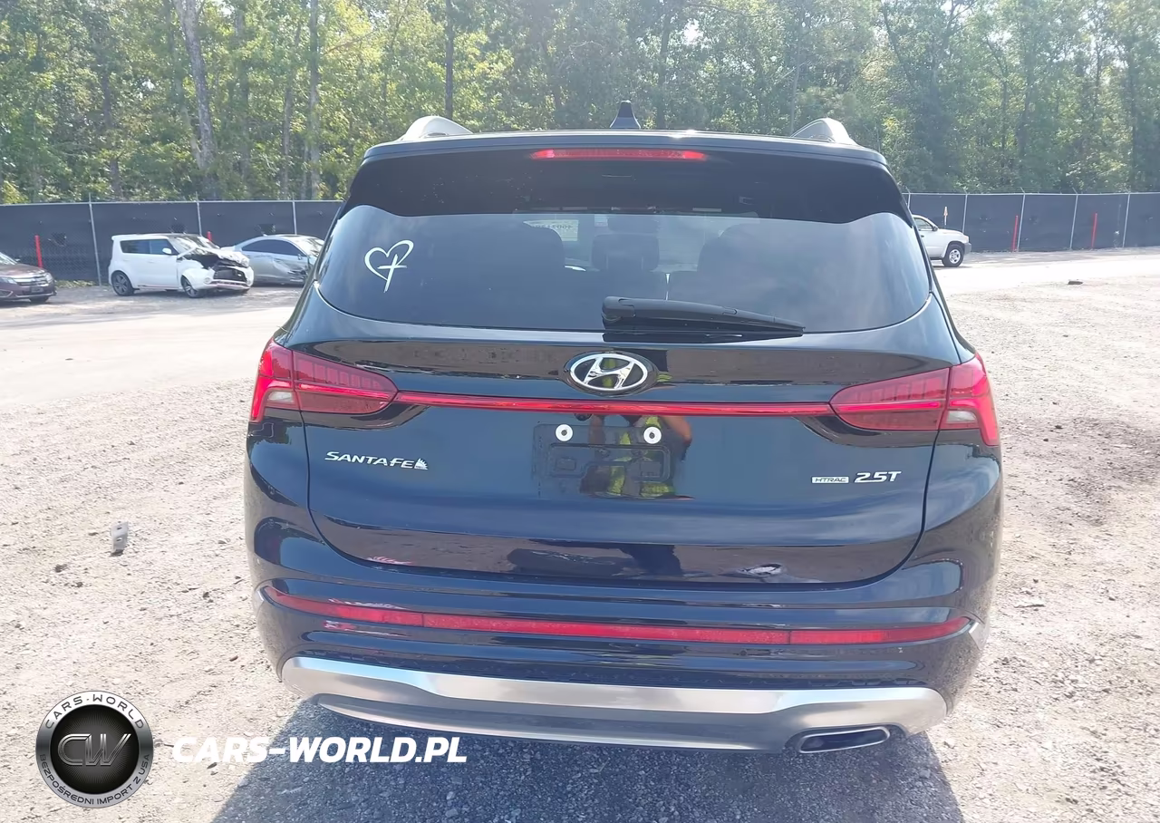 2023 Hyundai Santa Fe Calligraphy VIN:5NMS5DAL5PH599482 - 17