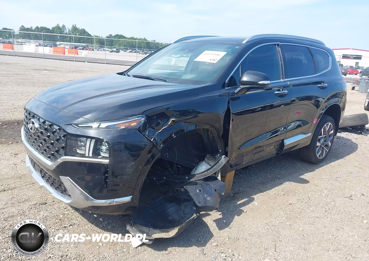 2023 Hyundai Santa Fe Calligraphy VIN:5NMS5DAL5PH599482 - 2