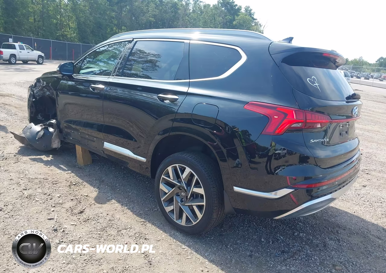 2023 Hyundai Santa Fe Calligraphy VIN:5NMS5DAL5PH599482 - 3